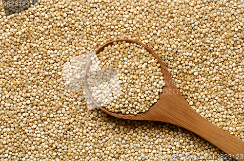 Image of white quinoa seeds