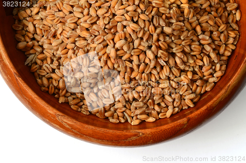 Image of Uncooked wheat grain