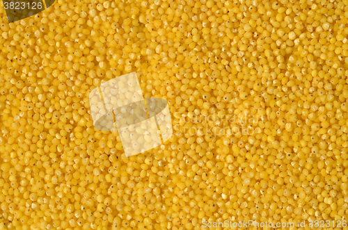 Image of raw yellow millet