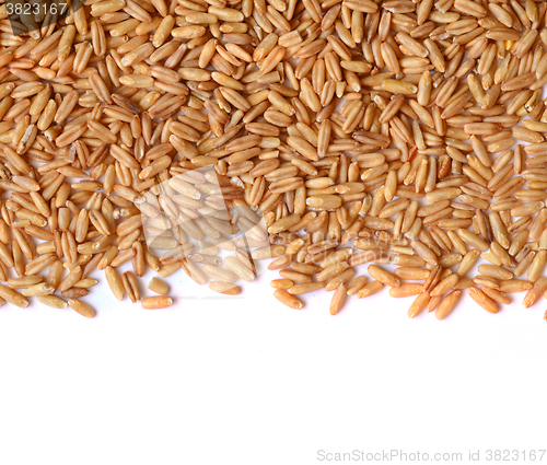 Image of whole oat seeds