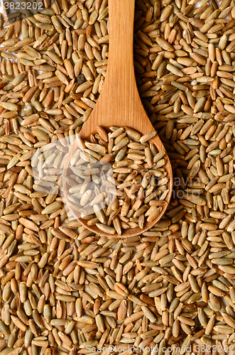 Image of rye grain seeds