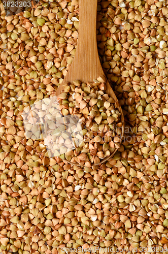 Image of Uncooked buckwheat seeds