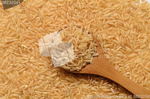 Image of brown rice uncooked