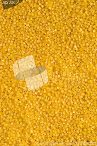 Image of raw yellow millet