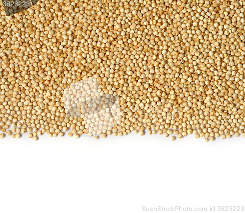 Image of white quinoa seeds