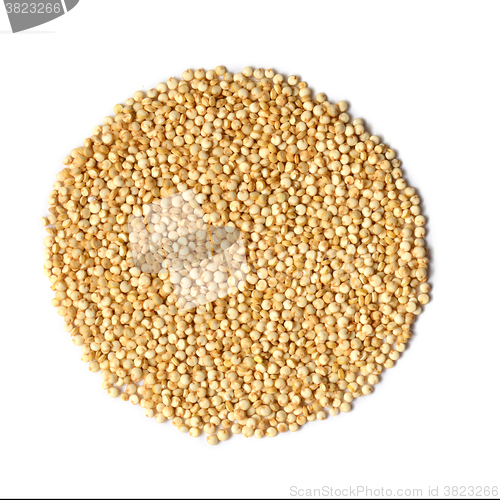 Image of white quinoa seeds