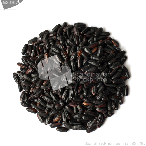 Image of Uncooked Black Rice