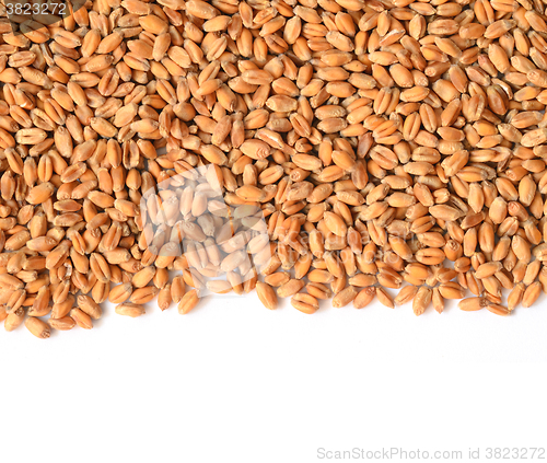 Image of Uncooked wheat grain