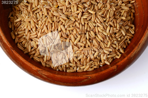 Image of whole oat seeds