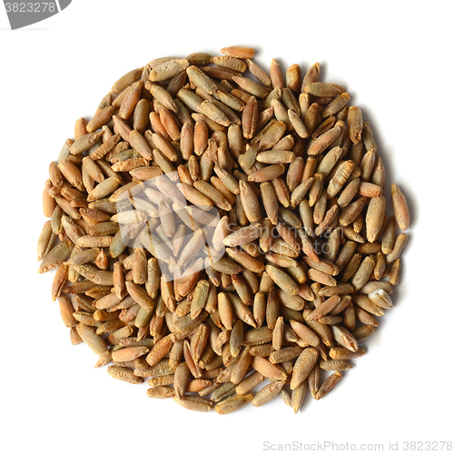 Image of rye grain seeds