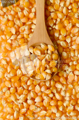 Image of corn grains close up