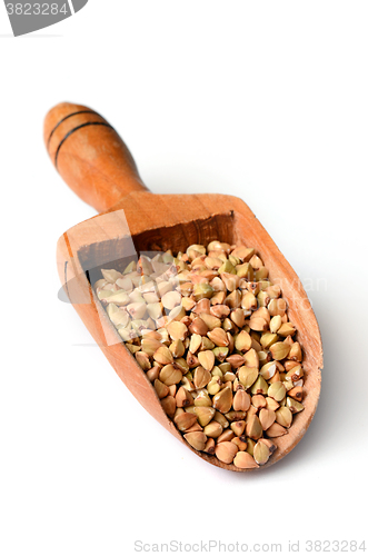 Image of Uncooked buckwheat seeds