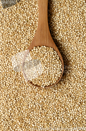 Image of white quinoa seeds