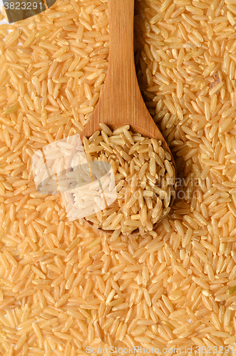 Image of brown rice uncooked