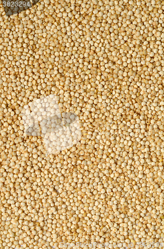 Image of white quinoa seeds