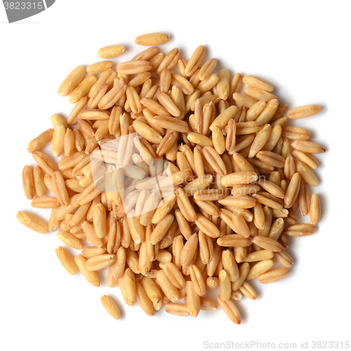 Image of whole oat seeds