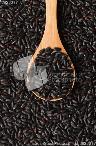 Image of Uncooked Black Rice