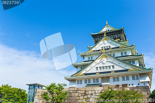 Image of Traditional osaka castle