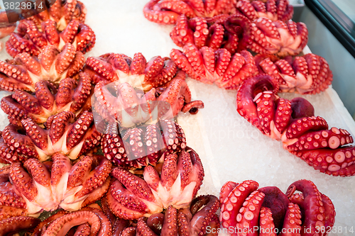 Image of Octopus in Japanese food market