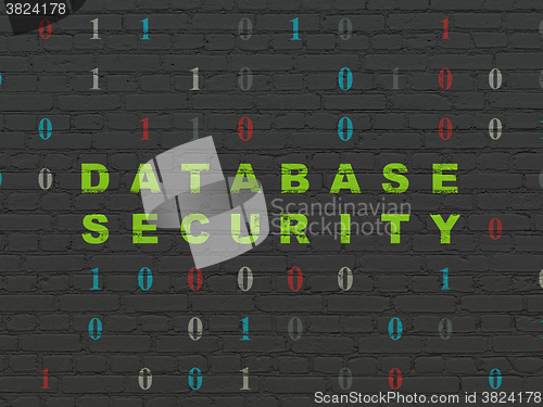 Image of Software concept: Database Security on wall background