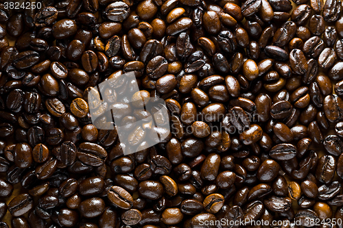 Image of Coffee bean