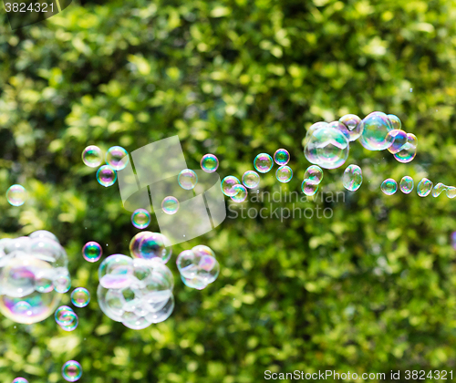 Image of Bubbles