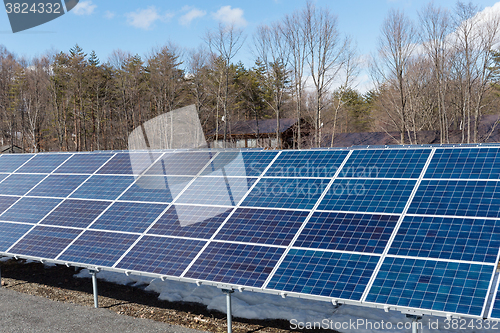 Image of Solar Panels plant in forest