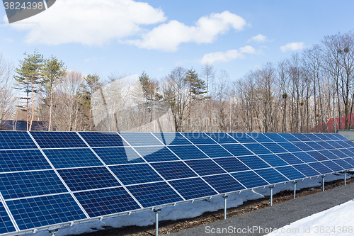 Image of Solar Panels in forest