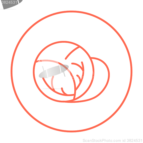 Image of Cabbage line icon.