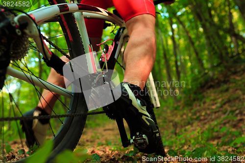Image of cyclist riding mountain bike on rocky trail