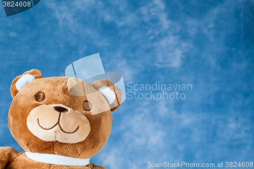 Image of Lovely Teddy Bear