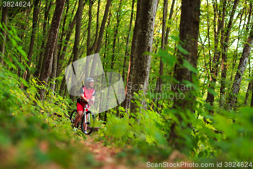 Image of Rider on Mountain Bicycle it the forest