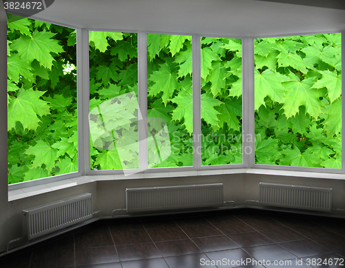 Image of plastic windows of veranda overlooking the green maple