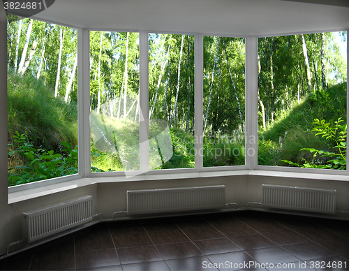 Image of window of veranda overlooking the beautiful birchwood
