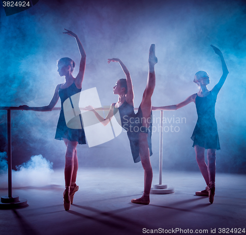 Image of The young ballerinas stretching on the bar 