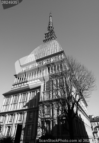 Image of Mole Antonelliana in Turin in black_and_white