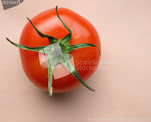 Image of Red tomato vegetables