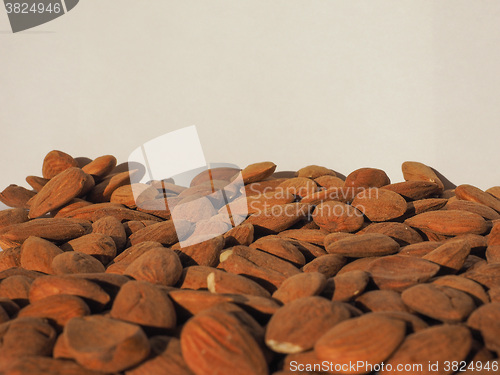 Image of Almonds dried fruit with copy space