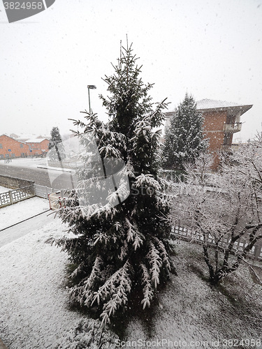 Image of Winter scene with snow