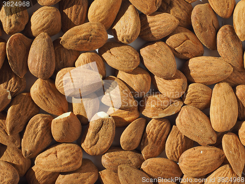 Image of Almonds dried fruit