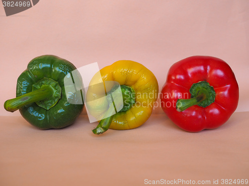 Image of Yellow Green and Red Peppers vegetables