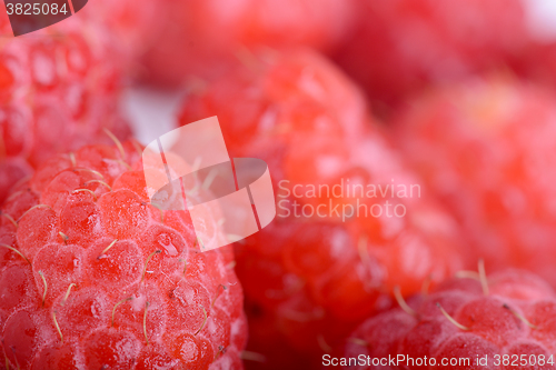 Image of Fresh sweet raspberries close up