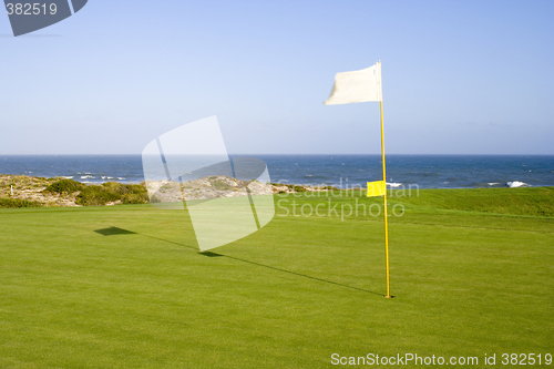 Image of Green in a golf course