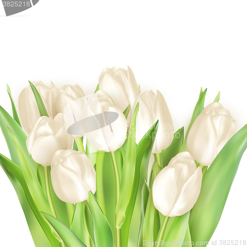 Image of Bouquet of white tulips. EPS 10