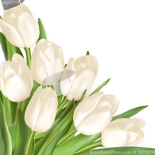 Image of Tulips decorative background. EPS 10