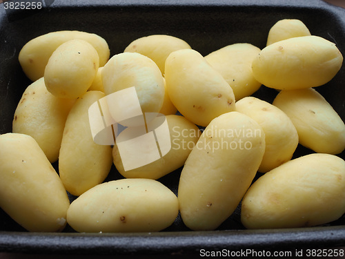 Image of Potato vegetables in a tub