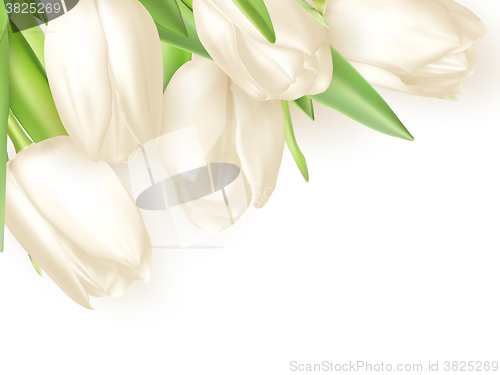 Image of Bouquet of white tulips. EPS 10