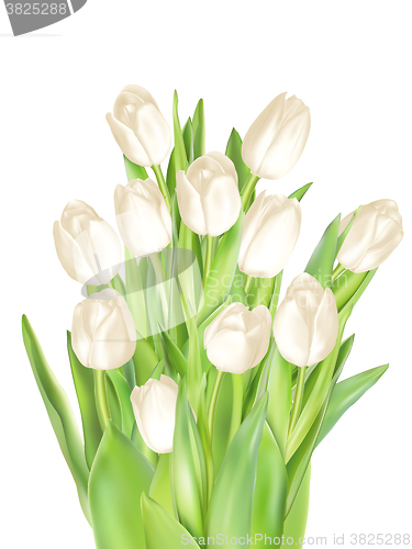 Image of Tulips decorative background. EPS 10