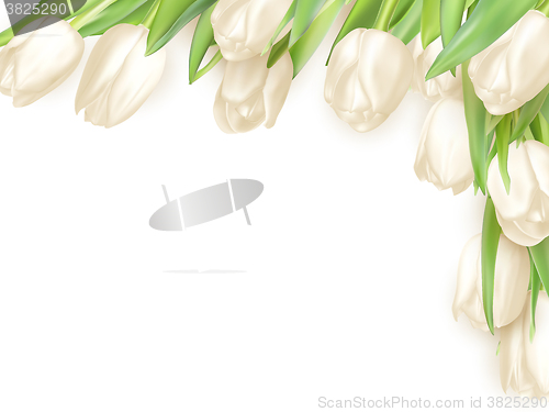 Image of Bouquet of white tulips. EPS 10