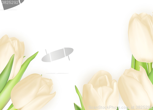 Image of Bouquet of white tulips. EPS 10